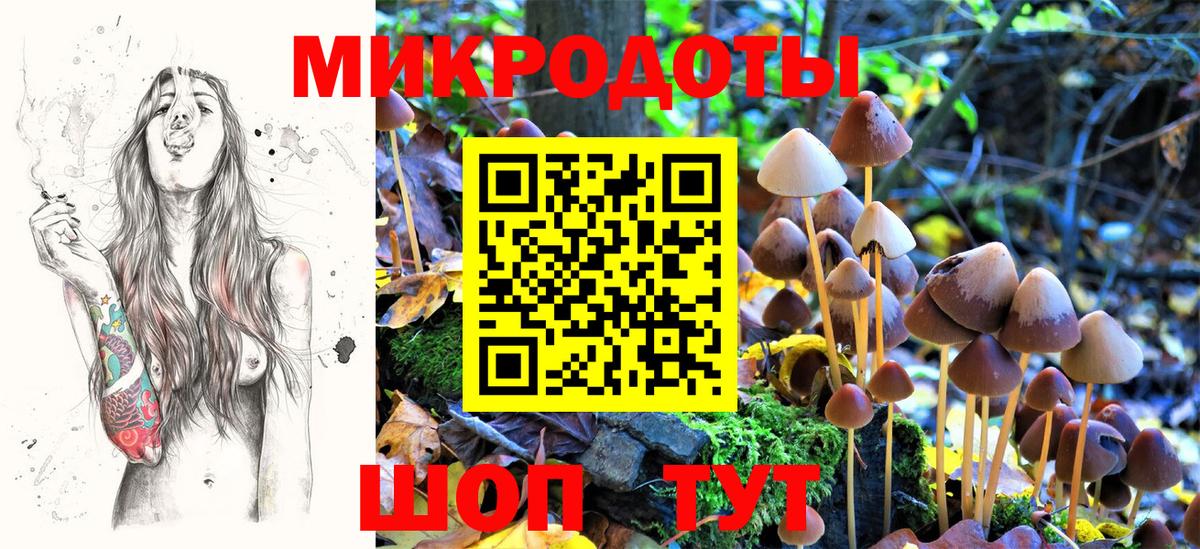 Галлюциногенные грибы мицелий  Вход с VPN  Кольчугино 